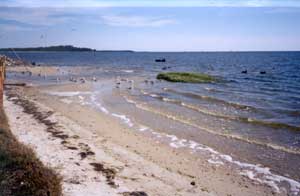 A small beach area on the west end of the island