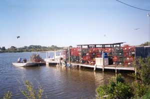 Local fisherman's pier with crabtraps